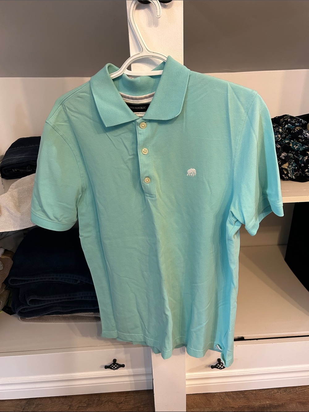 Banana Republic Mint Polo Shirt - Short Sleeve